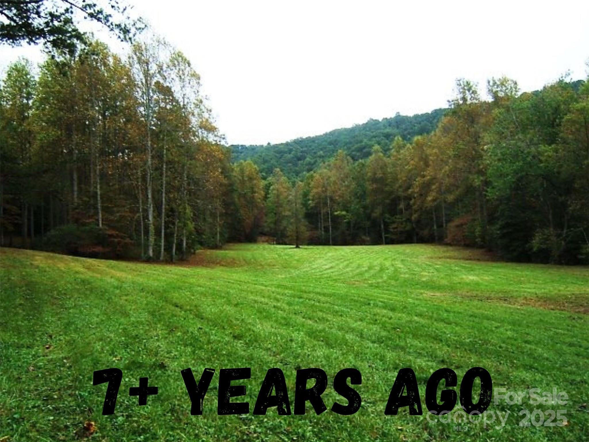 8361 Old Fort Sugar Hill Road Marion, NC 28752 - Photo 2 of 20 a view of a back yard