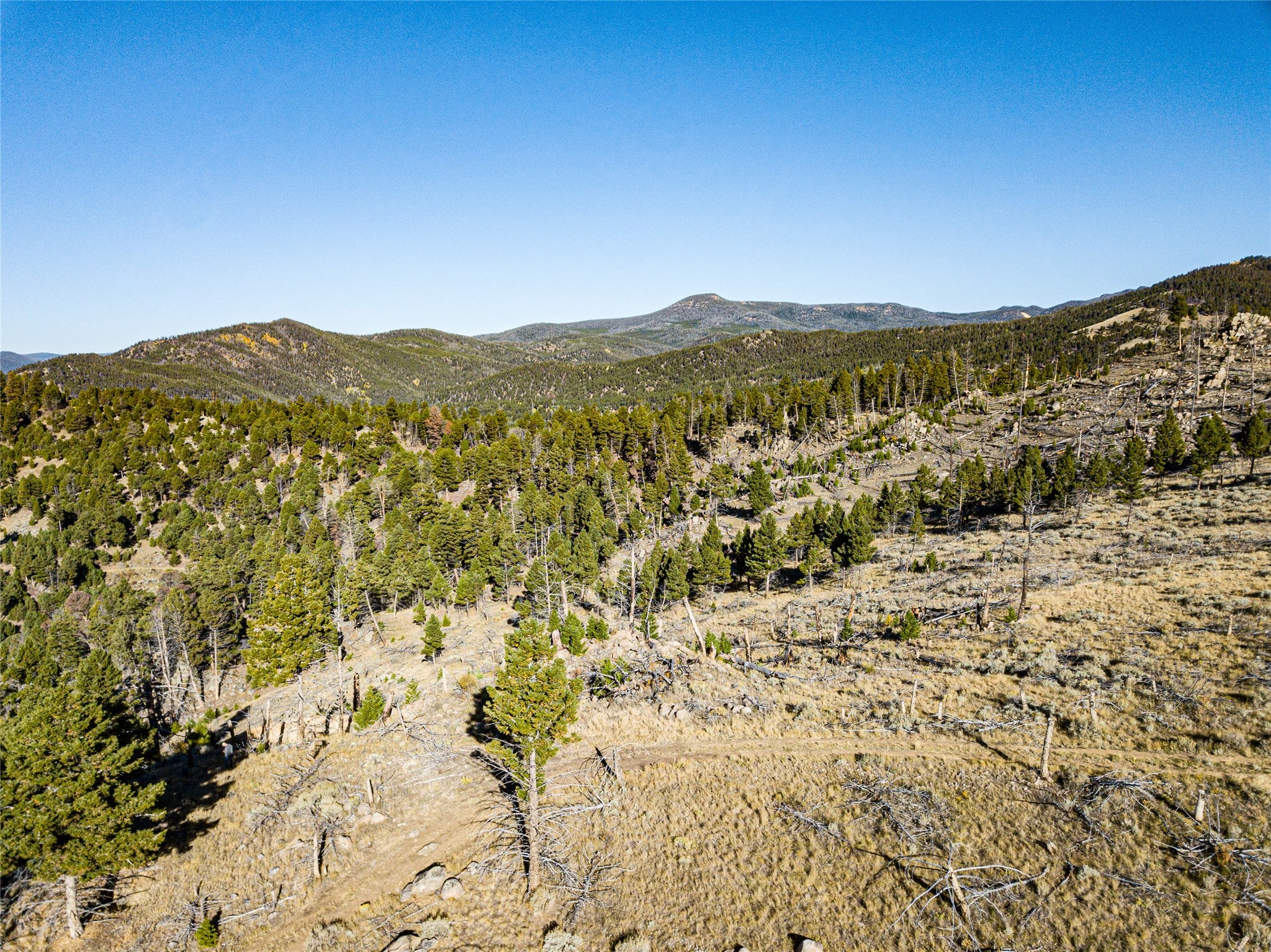 Tbd (40.1-ac) Tbd (40.1-ac) High Ore Road Boulder, MT 59632 - Photo 38 of 62 Gallery Image 38