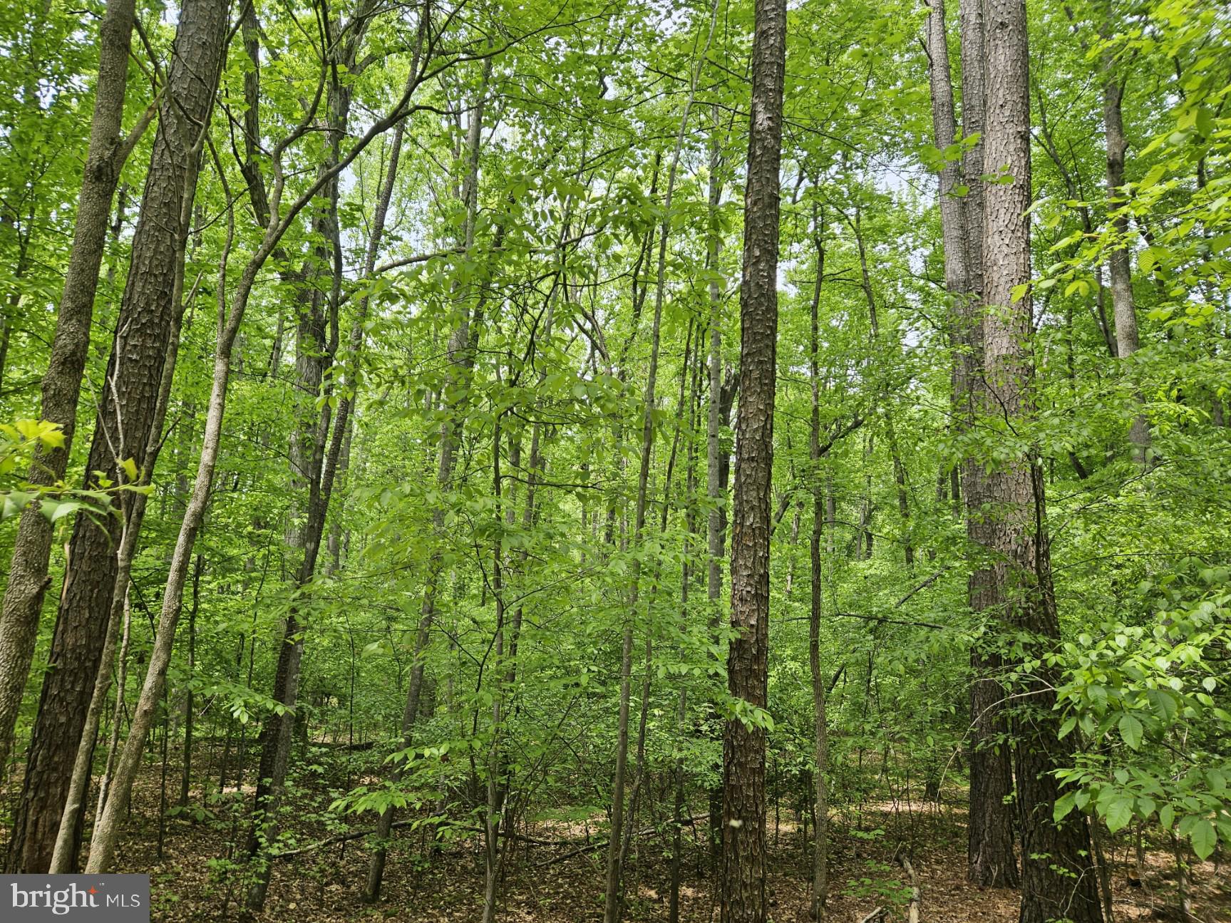 29 Eastham Road Bumpass, VA 23024 - Photo 2 of 3