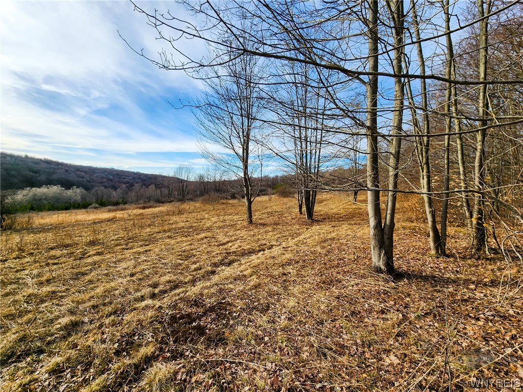 0 Quigg Hollow Road Andover, NY 14806 - Photo 15 of 19