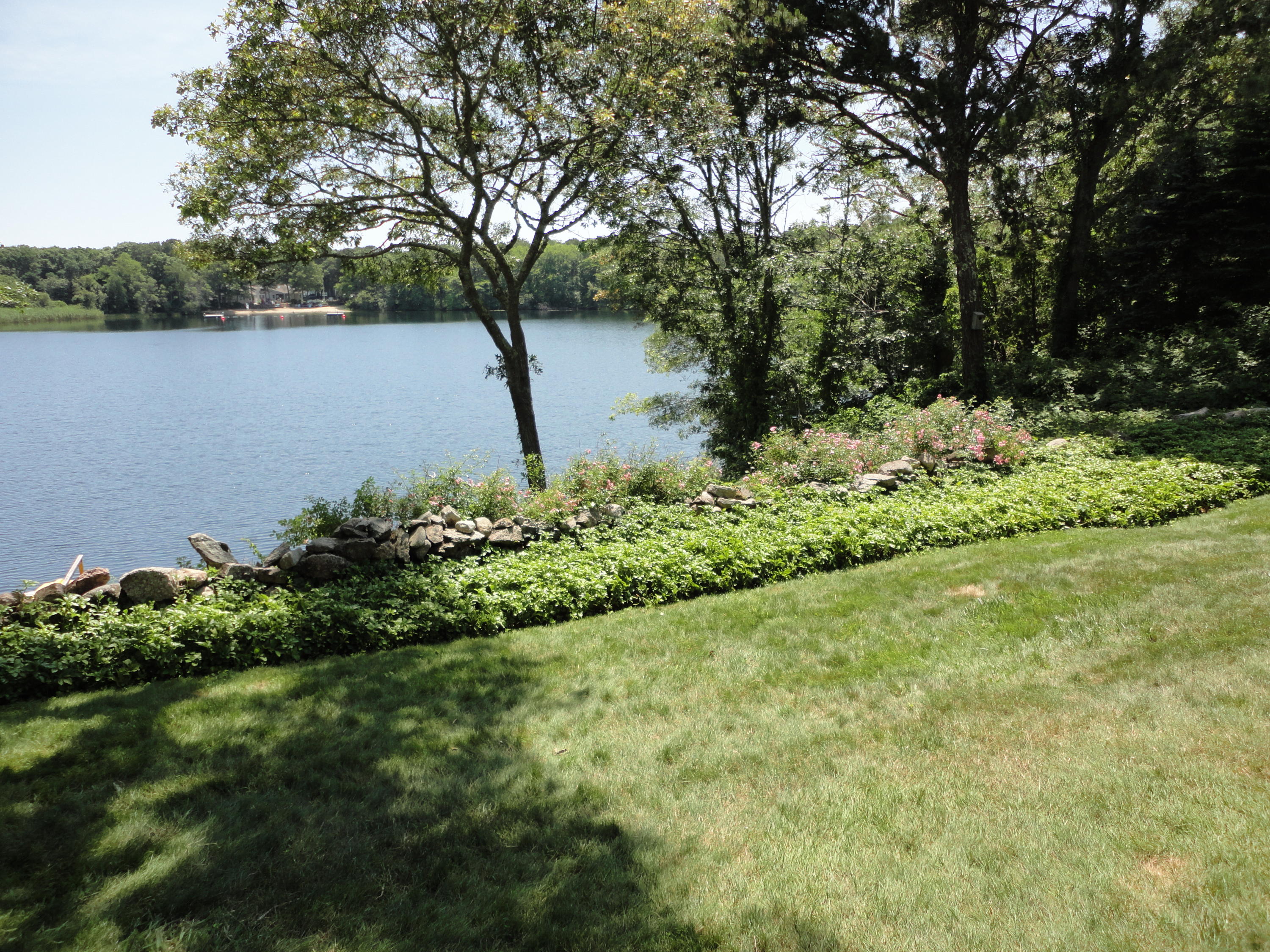 247 Crystal Lake Road Osterville, MA 02655 - Photo 7 of 34 a view of a garden with plants and large trees