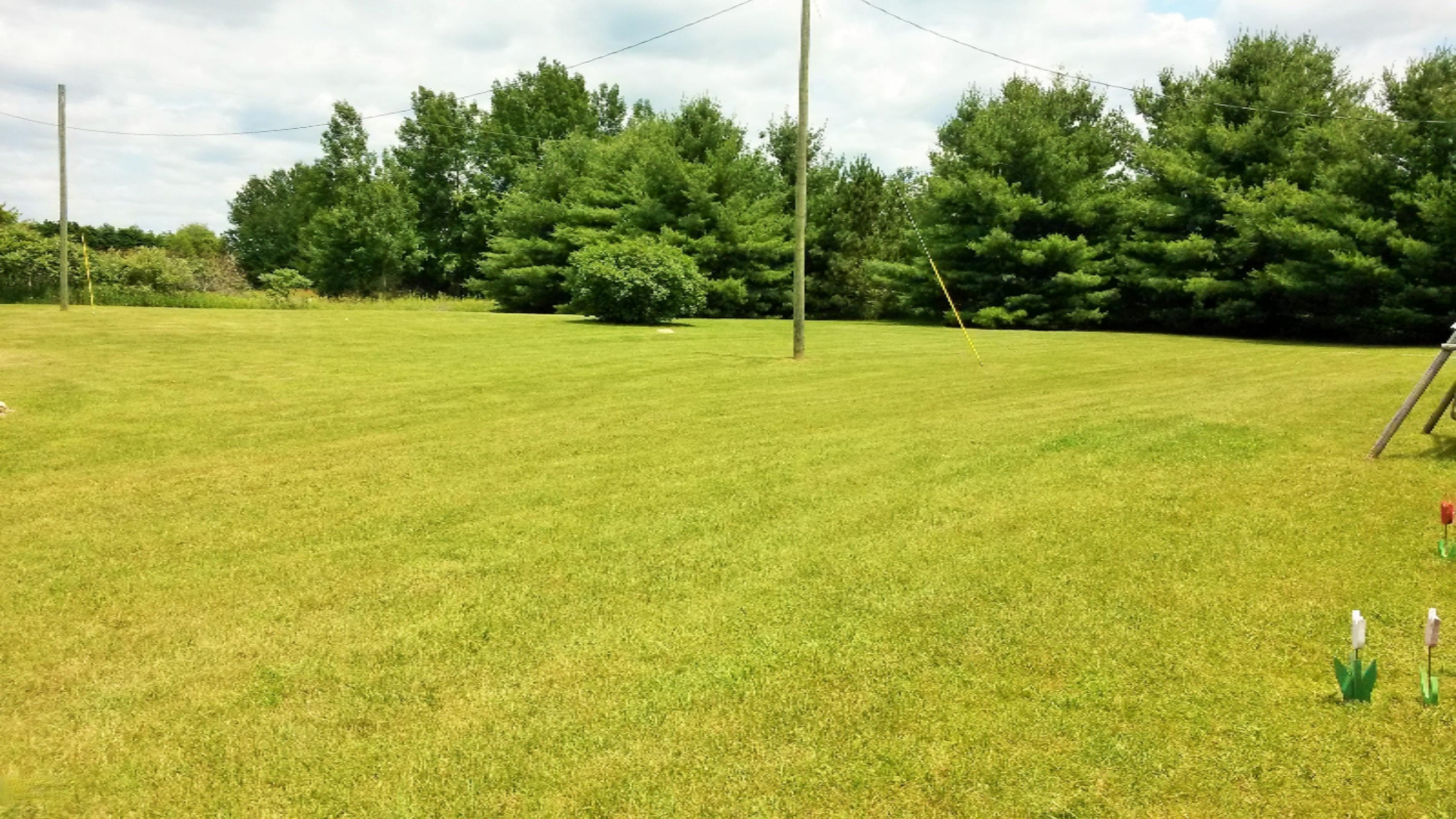4500 Cutler Road Northeast Edmore, MI 48829 - Photo 5 of 21 20150628_134557
