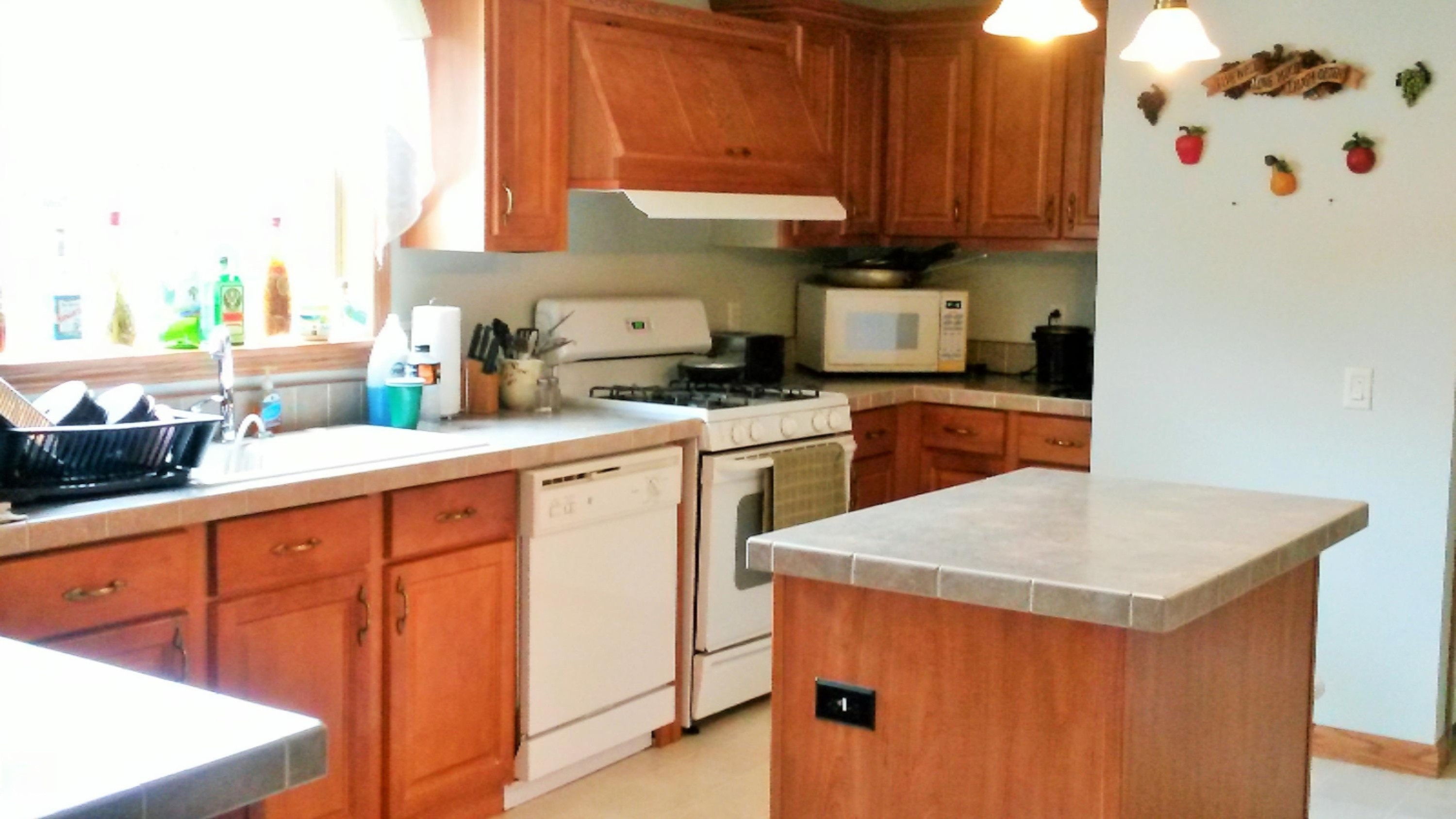 4500 Cutler Road Northeast Edmore, MI 48829 - Photo 9 of 21 20150628_135604