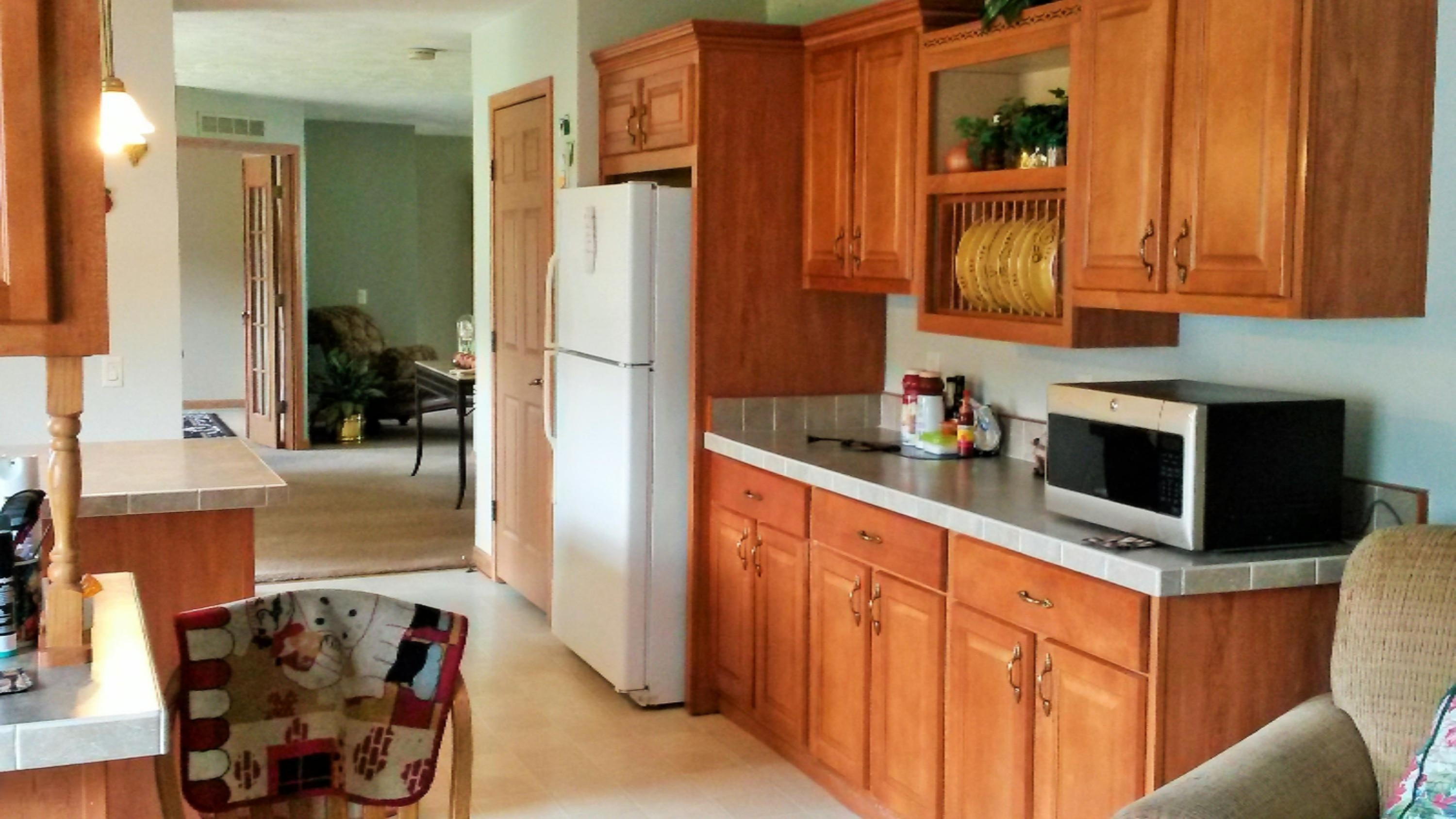4500 Cutler Road Northeast Edmore, MI 48829 - Photo 10 of 21 20150628_135623