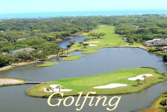 702 Sandpiper Road Edisto Island, SC 29438 - Photo 12 of 14 Golfing