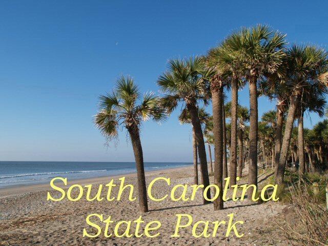 702 Sandpiper Road Edisto Island, SC 29438 - Photo 13 of 14 State Park