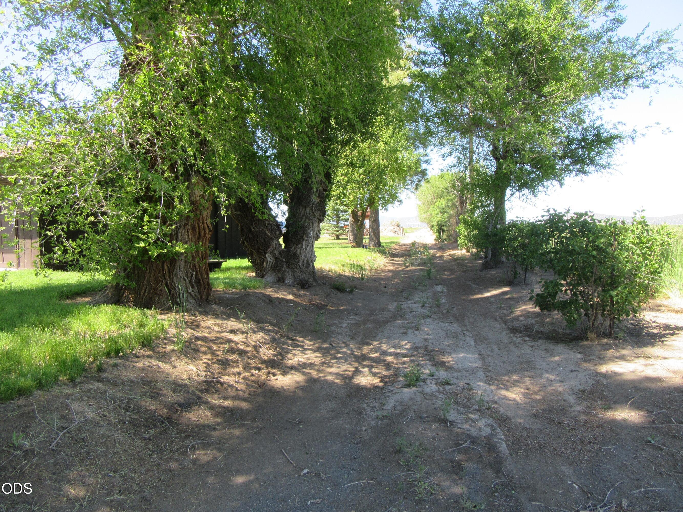 2917 Shady Dell Road Macdoel, CA 96058 - Photo 33 of 77