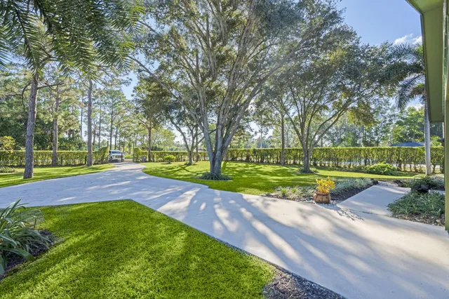 a view of a park with large trees
