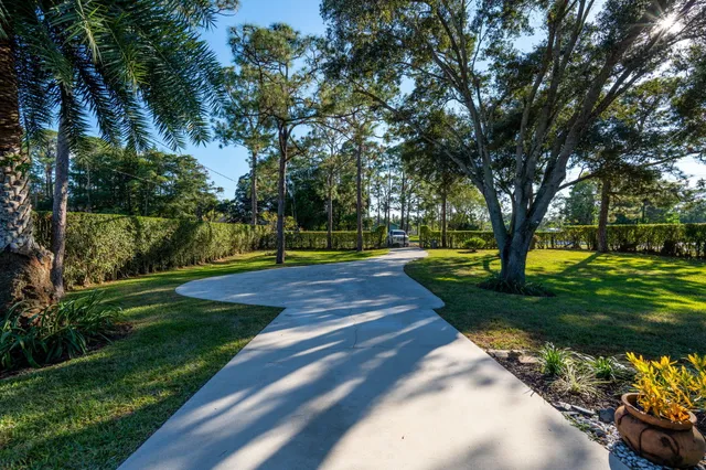 a view of a park with large trees