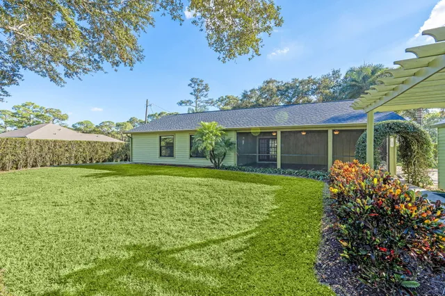 a view of a park with large trees