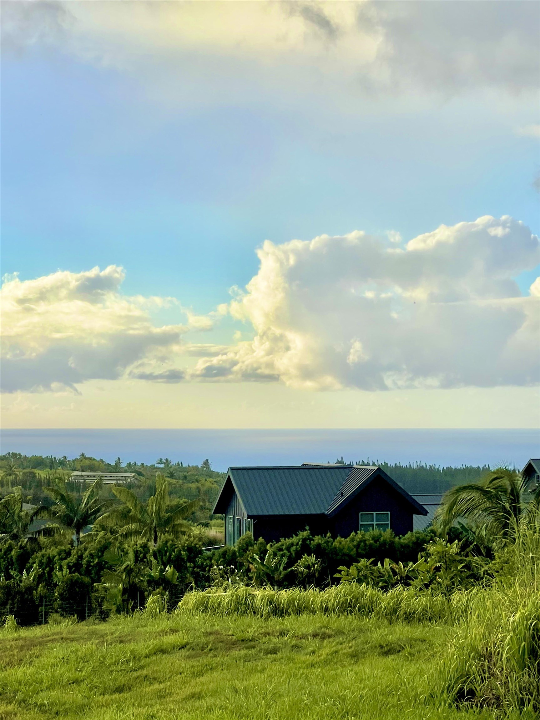948 Hookili Road Haiku, HI 96708 - Photo 15 of 17 a view of a garden with an outdoor space