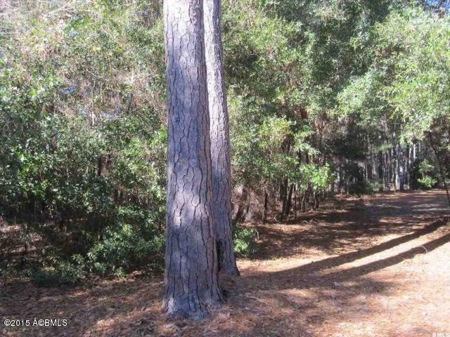 52 Rail Bed Road Seabrook, SC 29940 - Photo 10 of 10 10
