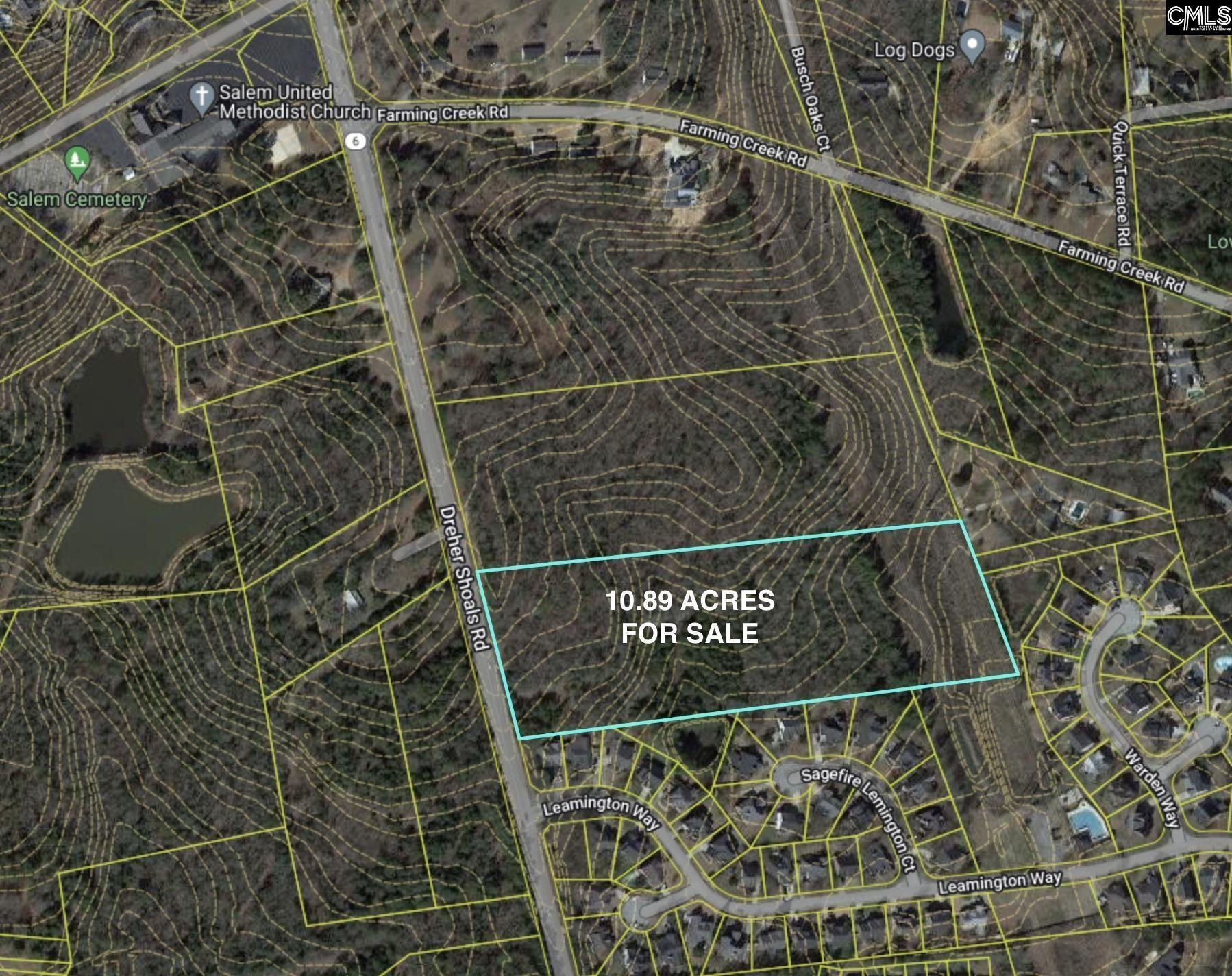 Dreher Shoals Road Irmo, SC 29063 - Photo 4 of 4