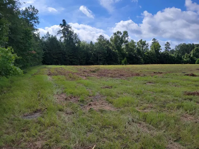 $437,000 | 0 Metts South Street, St. George, SC 29477