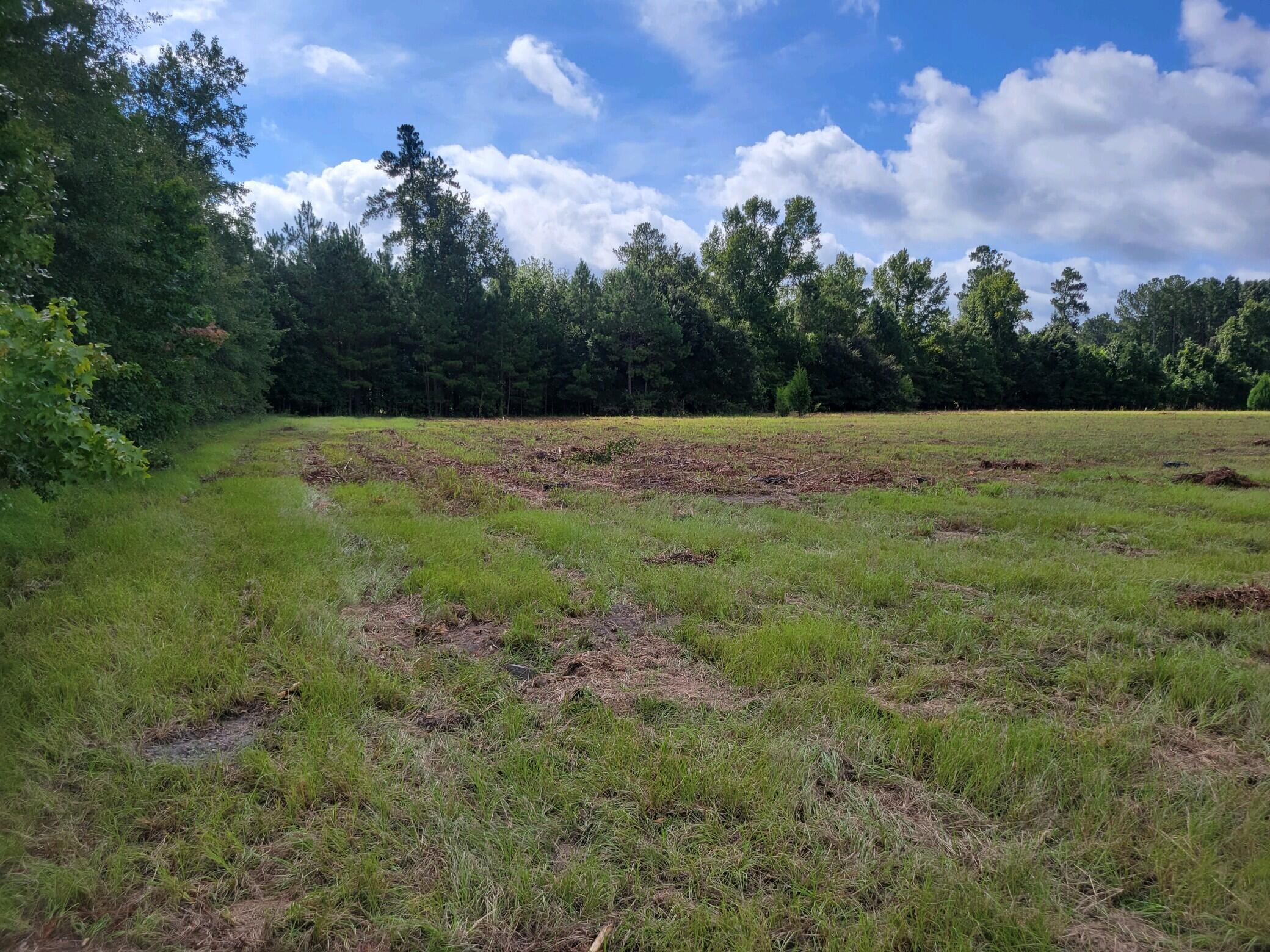 0 Metts South Street St. George, SC 29477 - Photo 11 of 17 20210901_102906