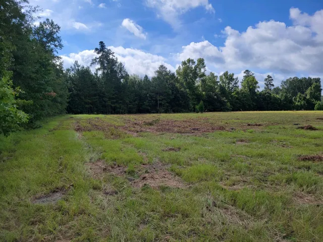 $437,000 | 0 Metts South Street, St. George, SC 29477