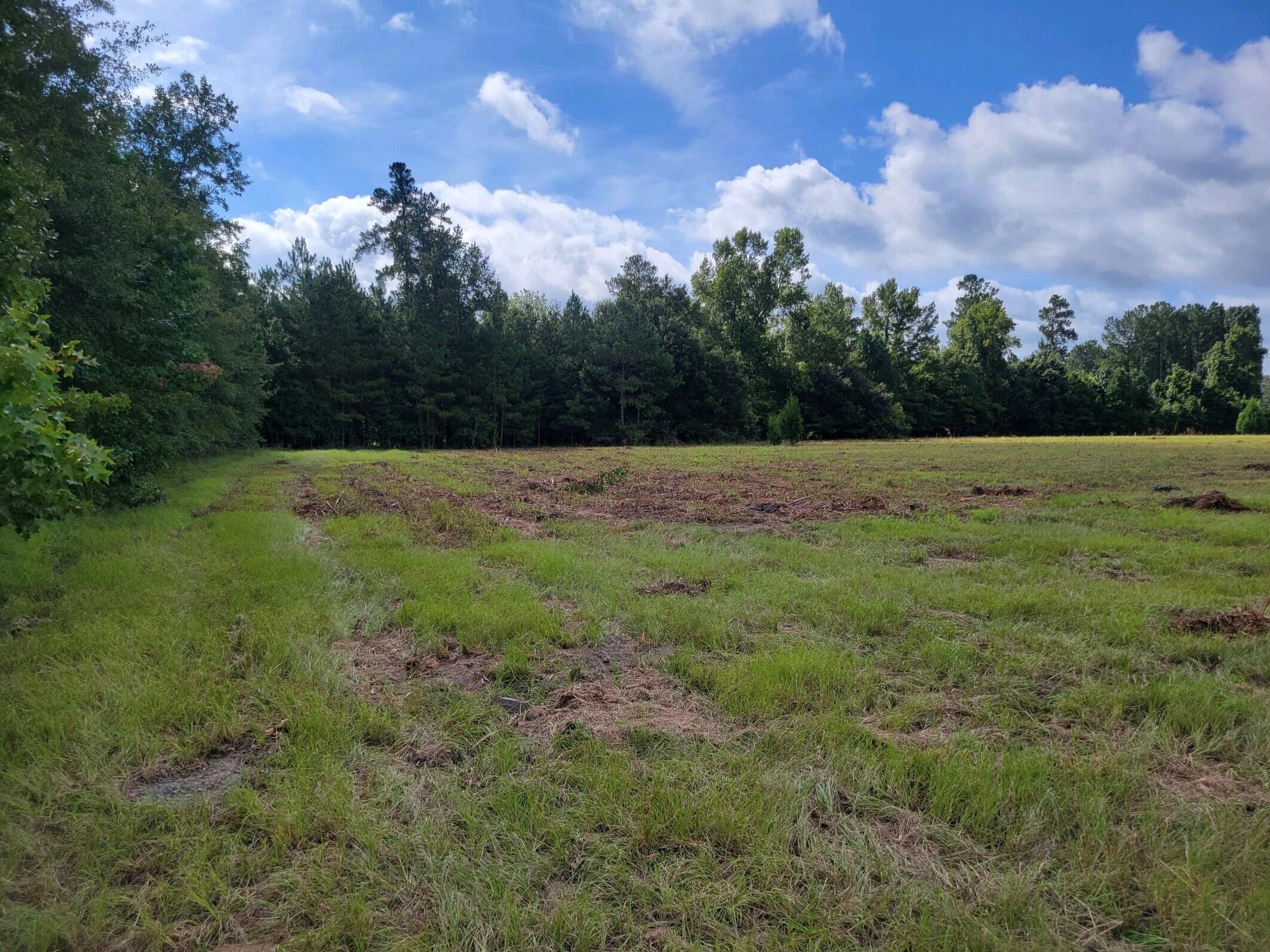 0 Metts South Street St. George, SC 29477 - Photo 12 of 17 20210901_102909