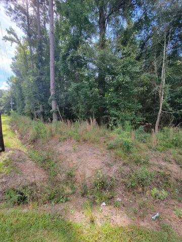 $437,000 | 0 Metts South Street, St. George, SC 29477