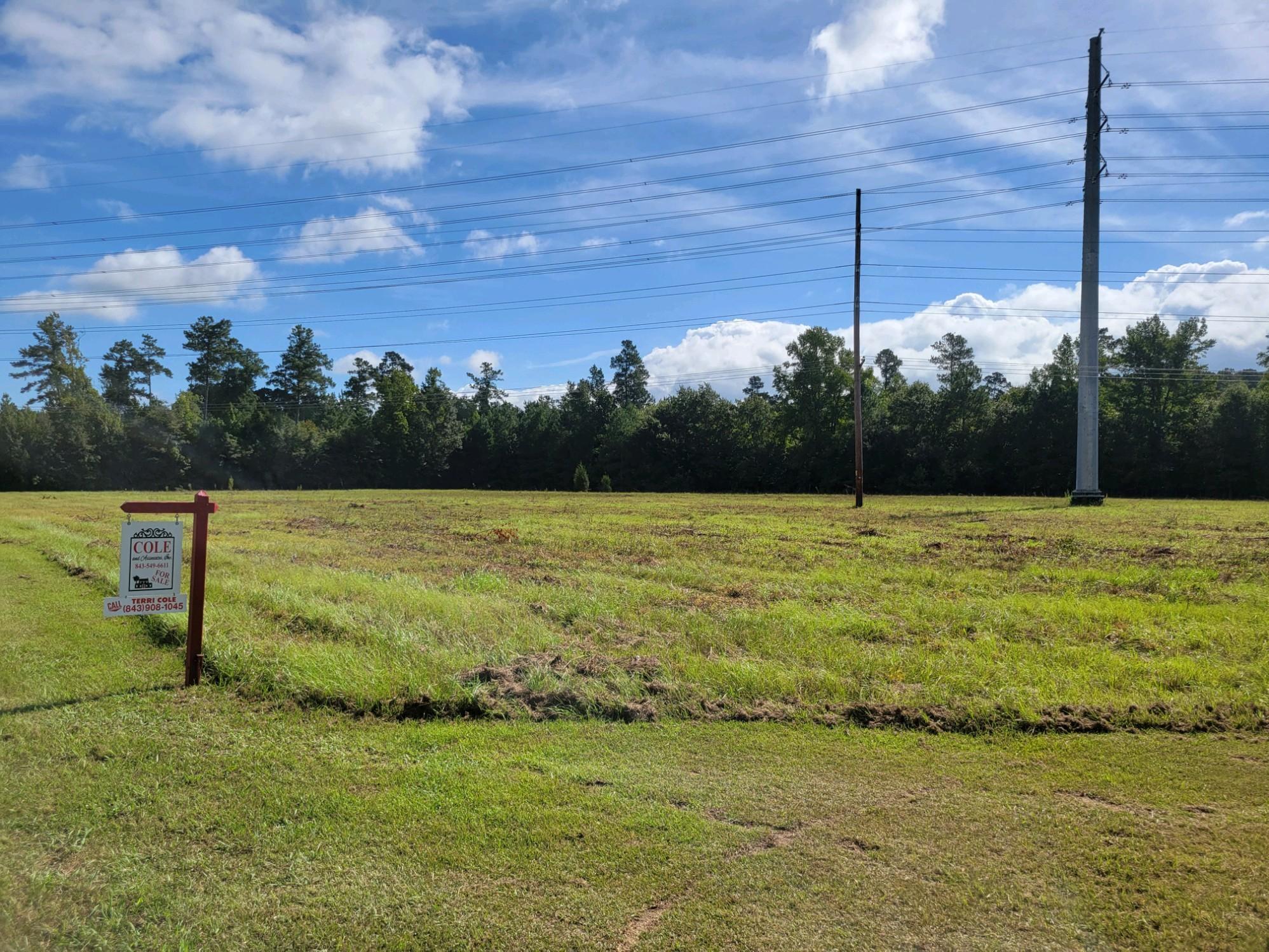 0 Metts South Street St. George, SC 29477 - Photo 16 of 17 2021090195102651