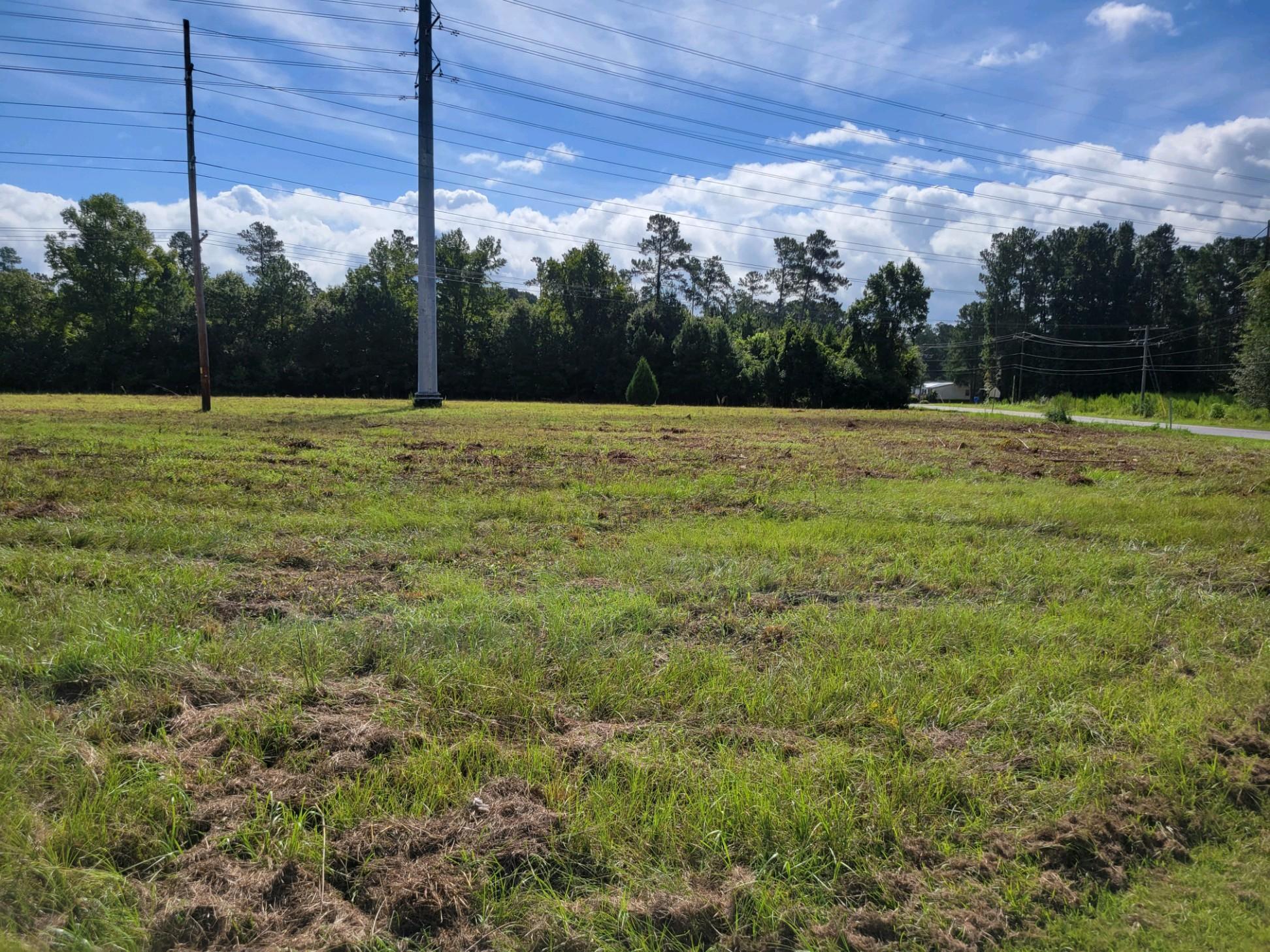 0 Metts South Street St. George, SC 29477 - Photo 17 of 17 2021090195102701