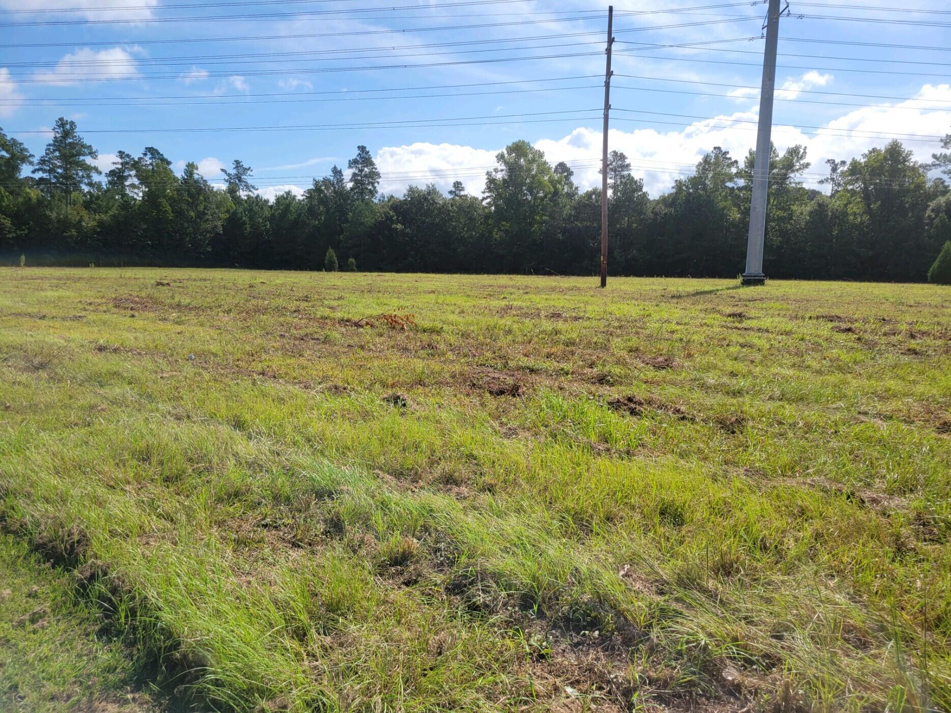 0 Metts South Street St. George, SC 29477 - Photo 5 of 17 20210901_102719