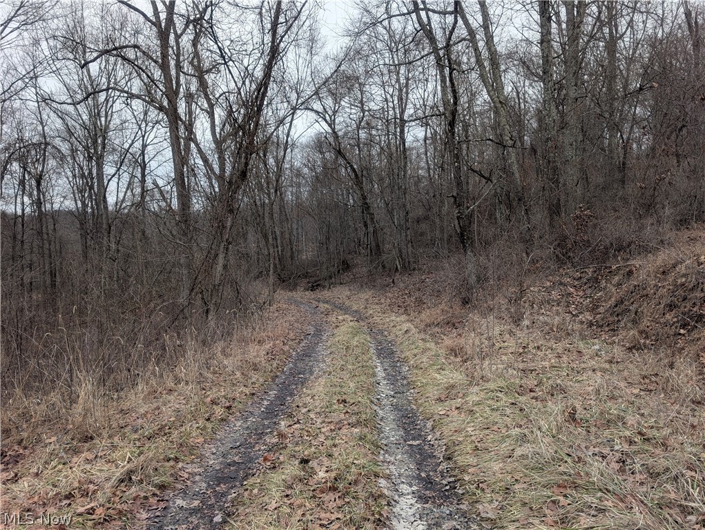 0 Tract 8 Barber Ridge Road Lewisville, OH 43754 - Photo 40 of 49 View of road