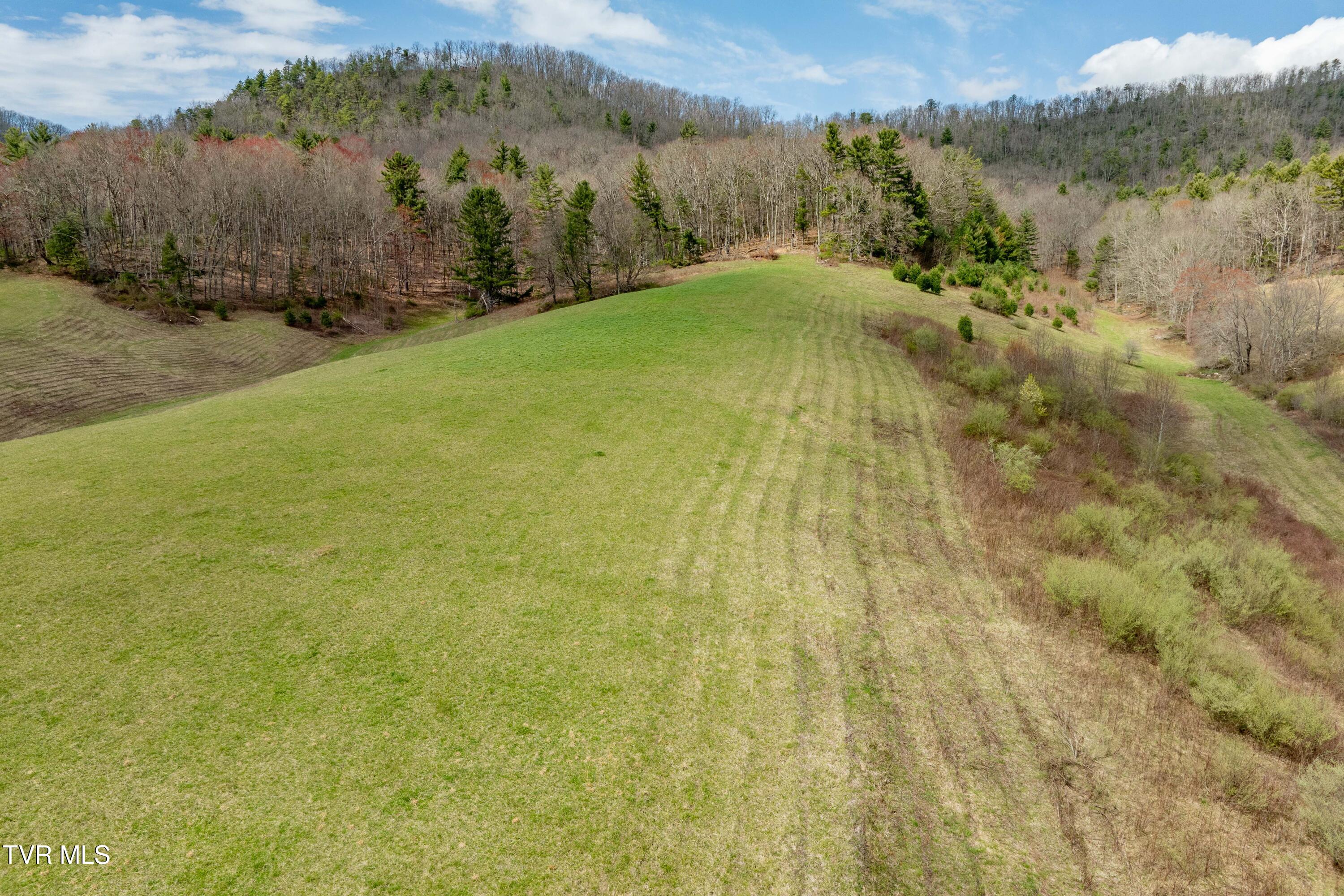 3972 Big Dry Run Road (31 of 91)