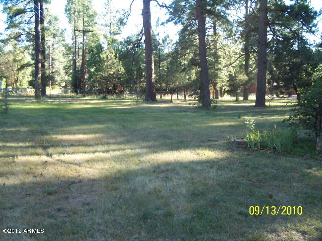 8468 Fossil Creek Road Strawberry, AZ 85544 - Photo 2 of 20 Grounds