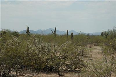 7341 North Sandario Road Tucson, AZ 85743 - Photo 3 of 8 Gallery Image 3