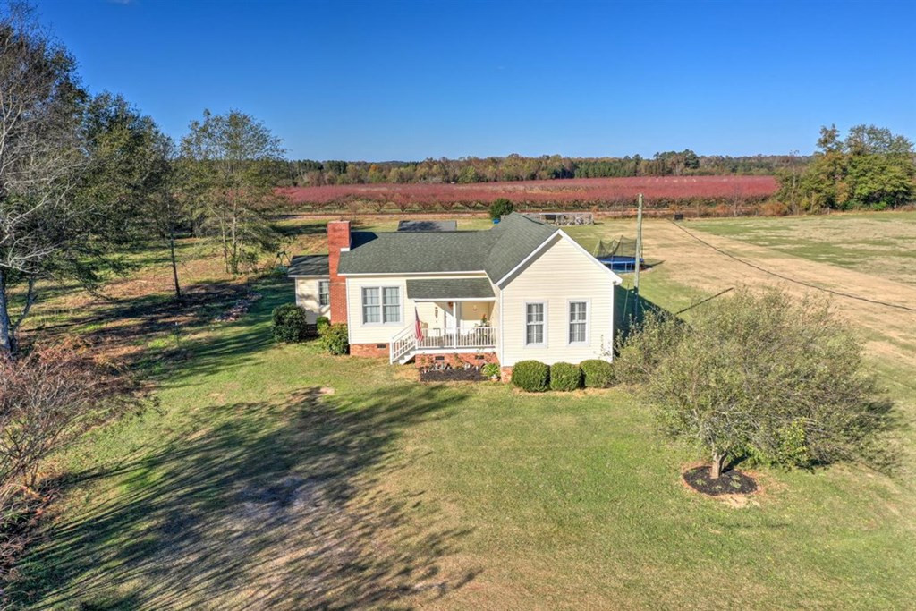 229 Early Sims Road Ridge Spring, SC 29129 - Photo 3 of 41
