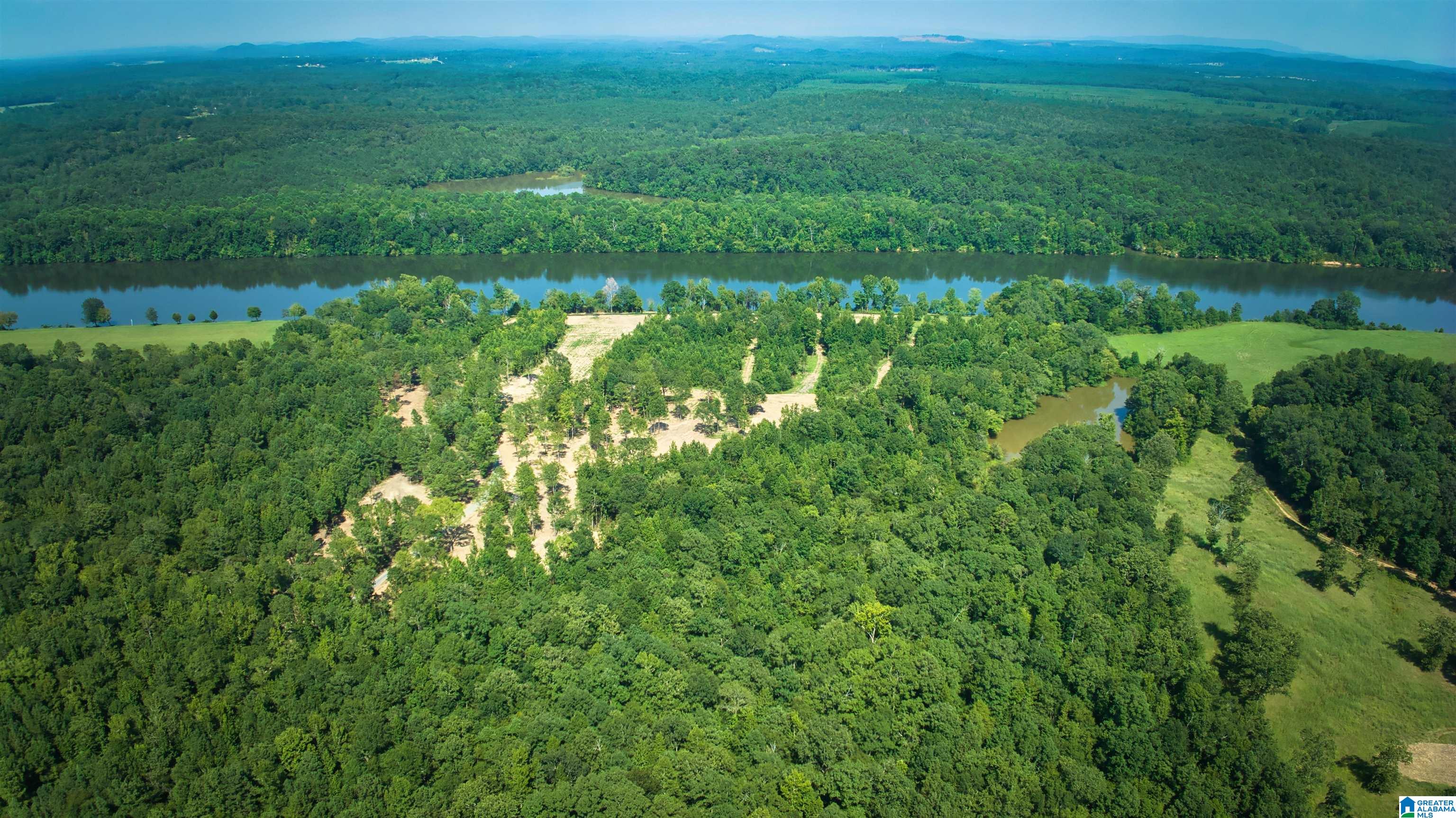Lot 20 Wester Road, Unit LOT 20 Ragland, AL 35131 - Photo 31 of 68