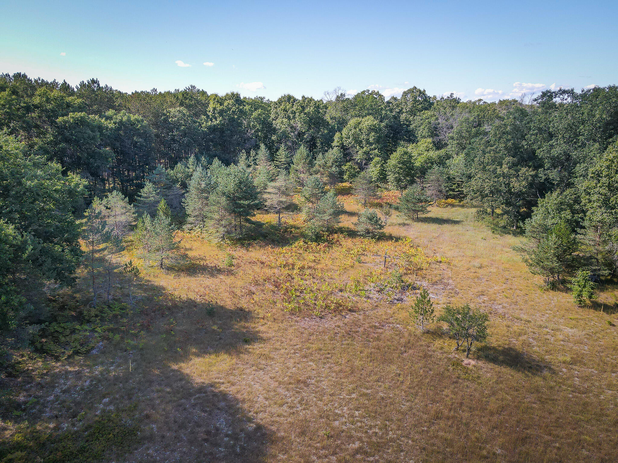 10 West Mile Road Irons, MI 49644 - Photo 7 of 42 DJI_0119