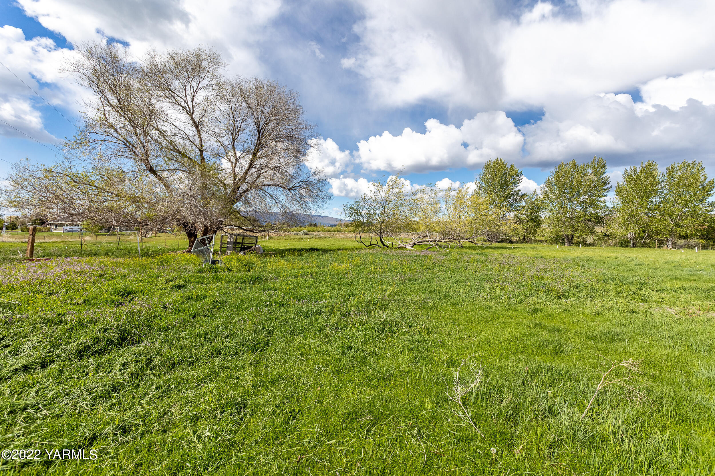 161 Track Road Cowiche, WA 98923 - Photo 47 of 51 a view of yard with large trees
