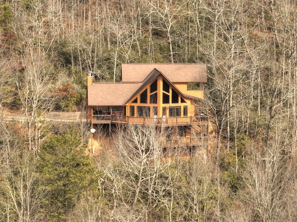 420 Deer Crest Heights Blue Ridge, GA 30513 - Photo 54 of 58