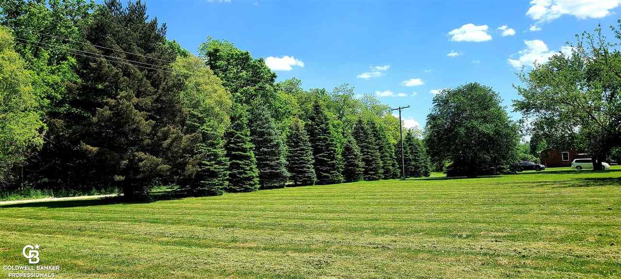 8331 Mason Road Yale, MI 48097 - Photo 61 of 67