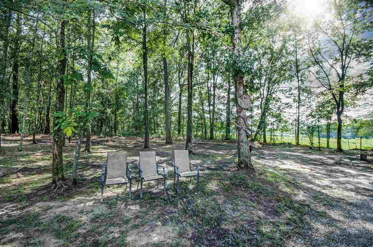 561 Wild Rose Lane Brandon, MS 39047 - Photo 12 of 48 Photo 12
