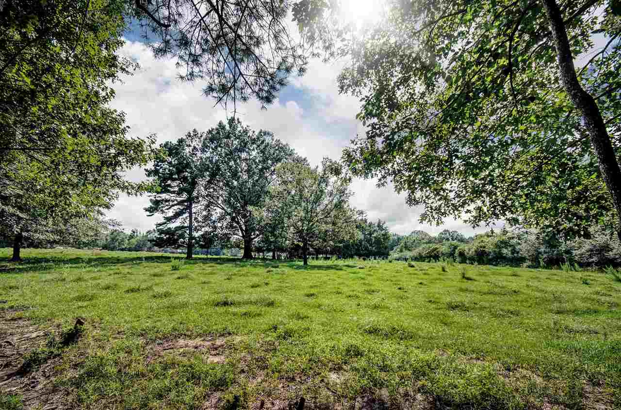 561 Wild Rose Lane Brandon, MS 39047 - Photo 14 of 48 Photo 14