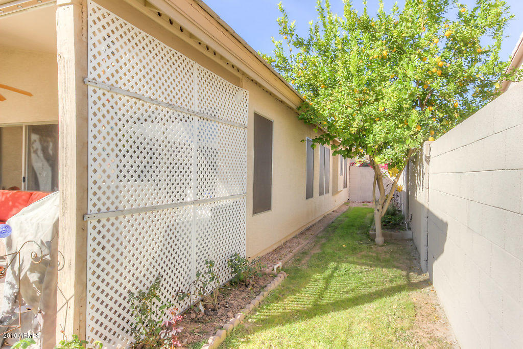 2055 East Smoke Tree Road Gilbert, AZ 85296 - Photo 34 of 44 Rear (3)-SMALL