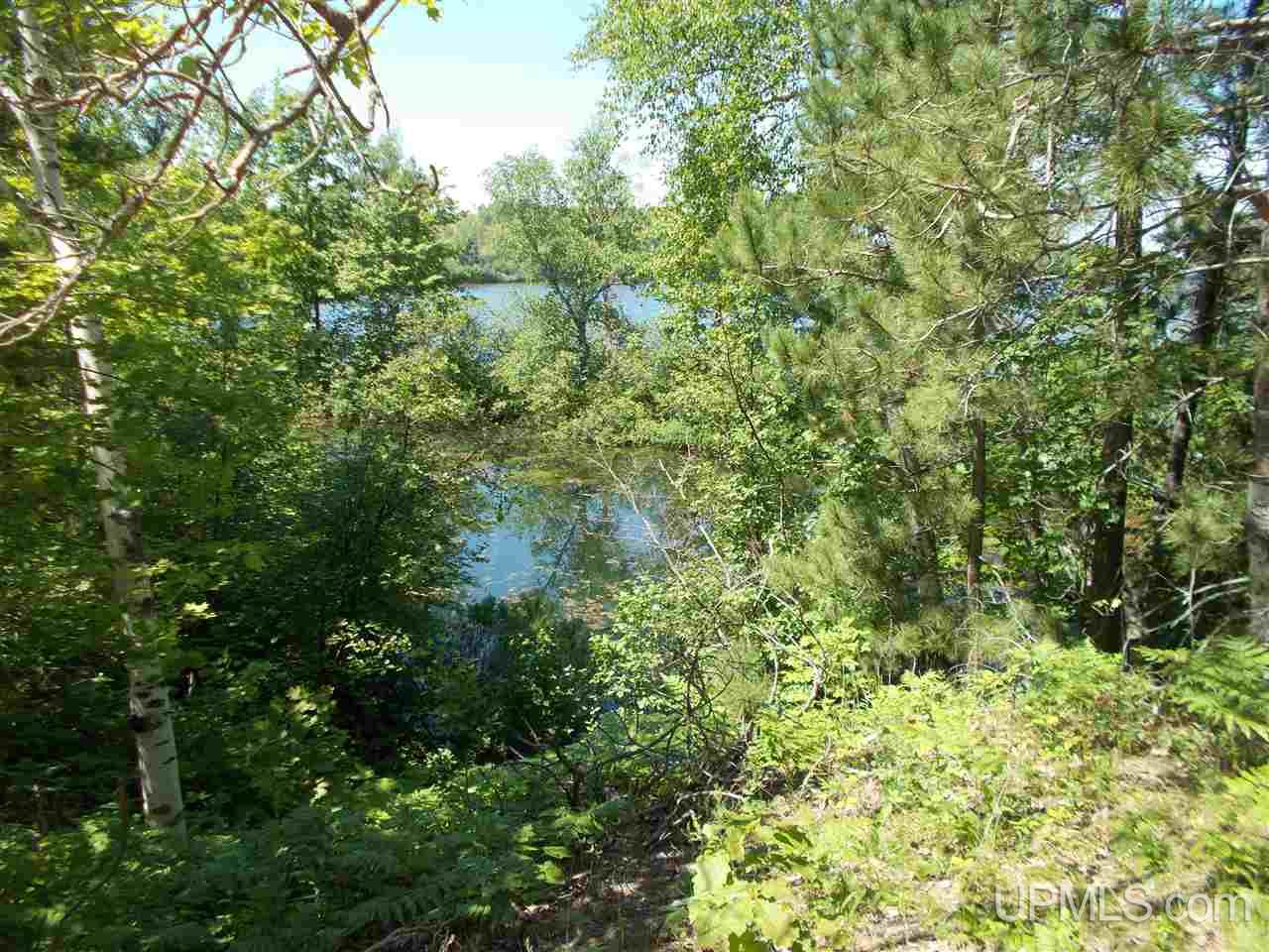 Lot A Lot A D Road Big Bay, MI 49808 - Photo 5 of 16
