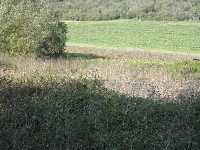 200 Minto Road Watsonville, CA 95076 - Photo 11 of 25 Gallery Image 11