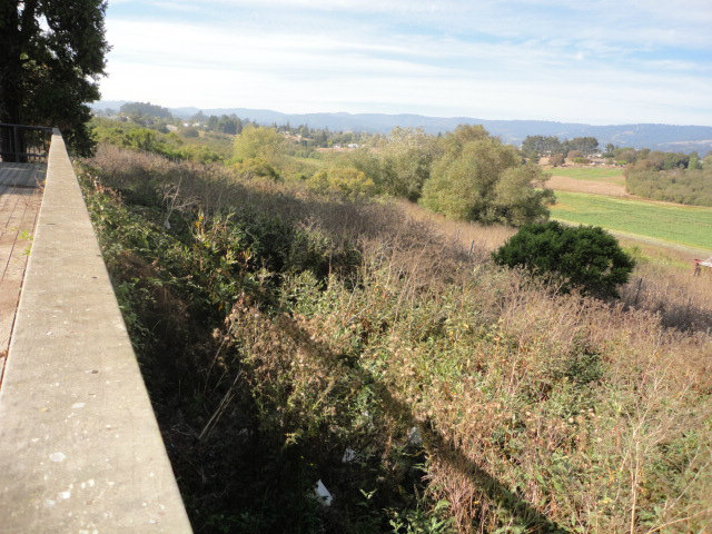 200 Minto Road Watsonville, CA 95076 - Photo 8 of 25 Gallery Image 8