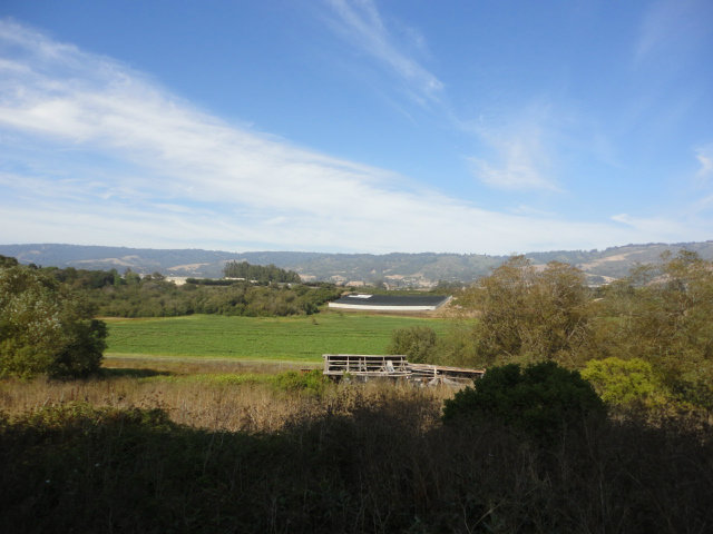200 Minto Road Watsonville, CA 95076 - Photo 9 of 25 Gallery Image 9