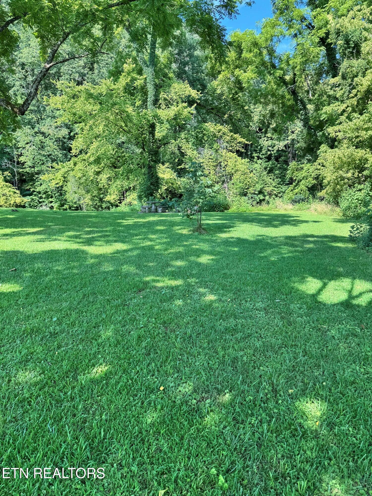 River Bank Road Pigeon Forge, TN 37863 - Photo 4 of 12 IMG_5340a