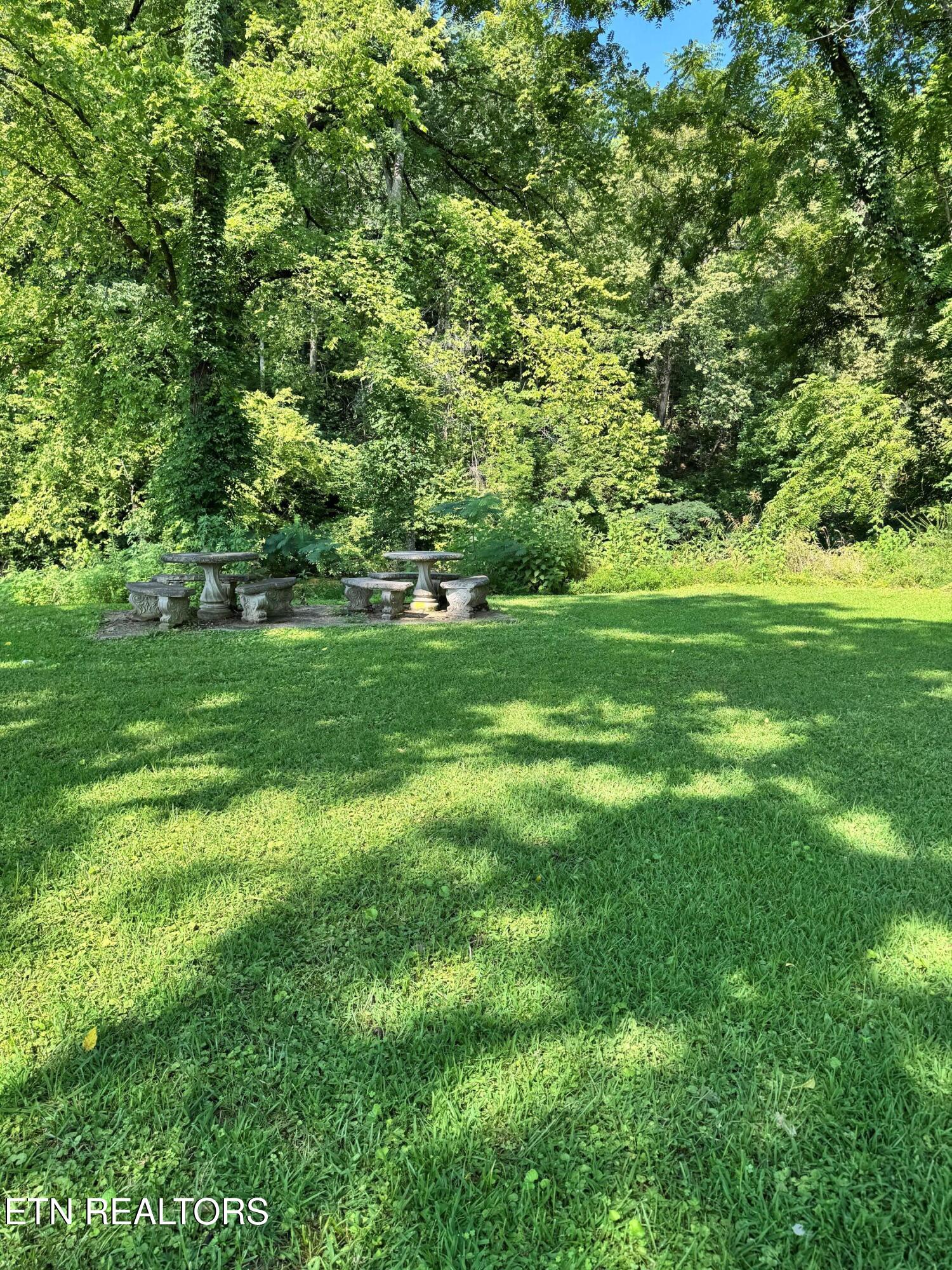 River Bank Road Pigeon Forge, TN 37863 - Photo 5 of 12 IMG_5341a