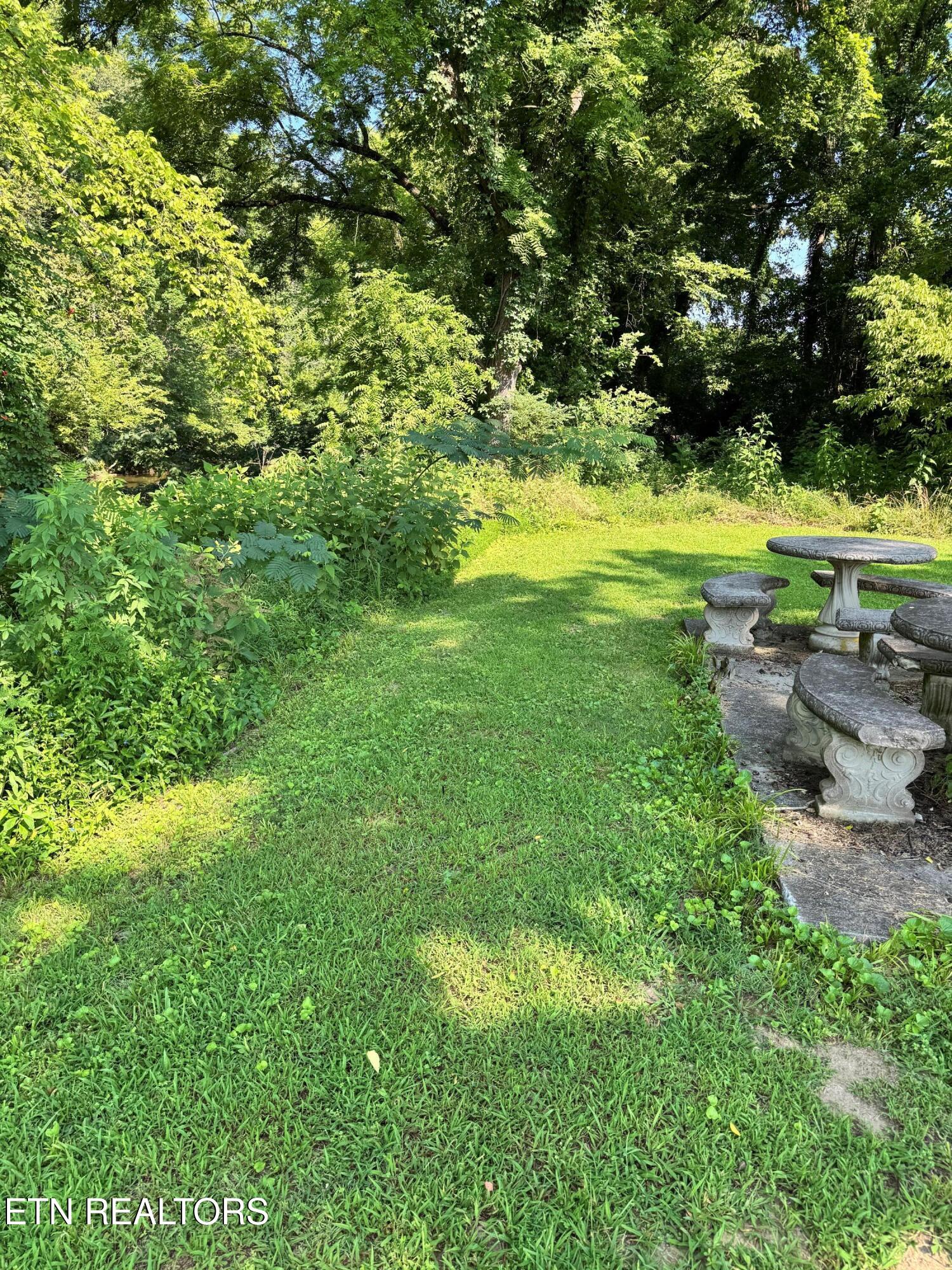River Bank Road Pigeon Forge, TN 37863 - Photo 9 of 12 IMG_5347a