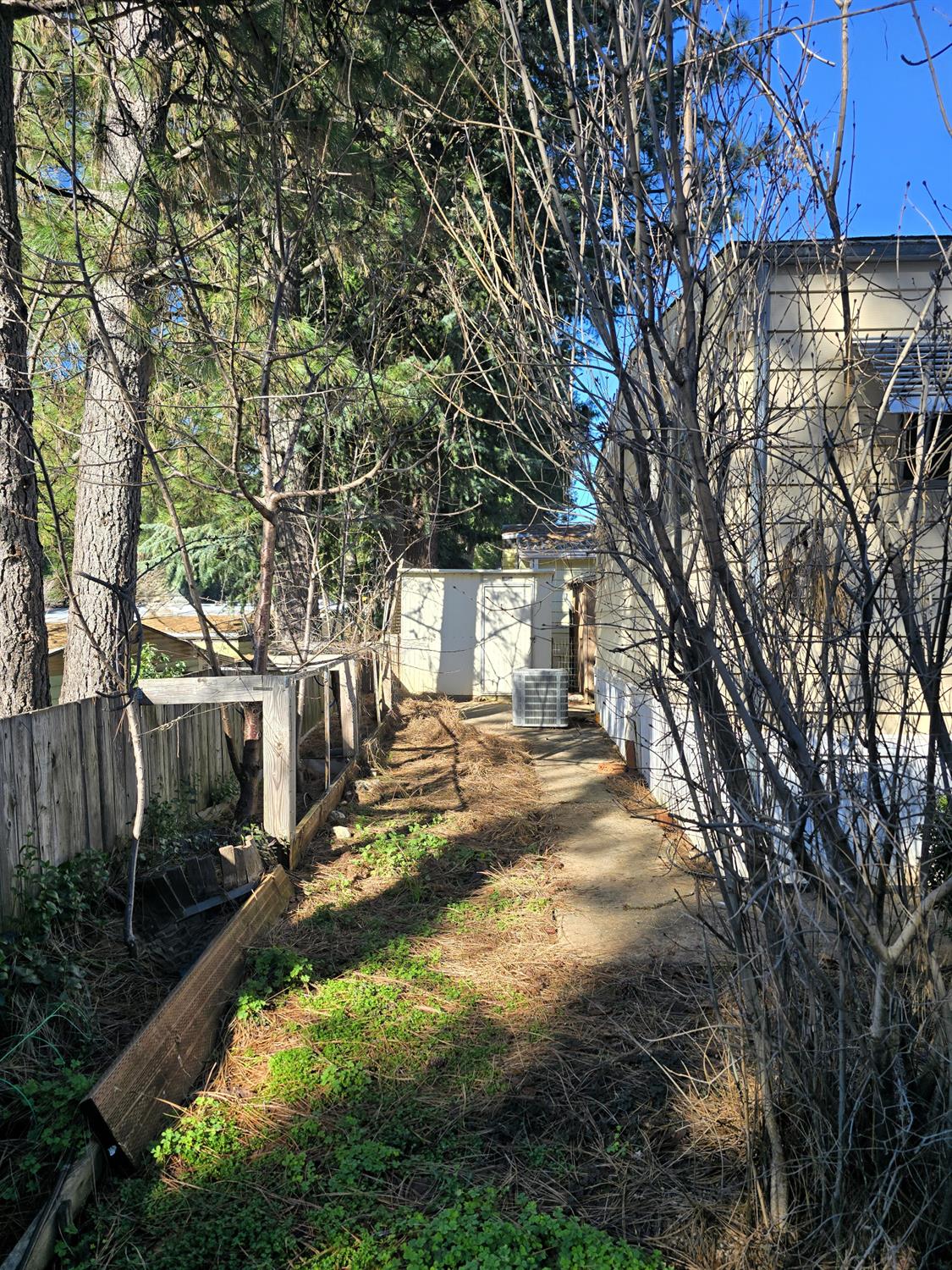 30 Candy Lane Grass Valley, CA 95945 - Photo 31 of 48 a view of yard with tree in the background
