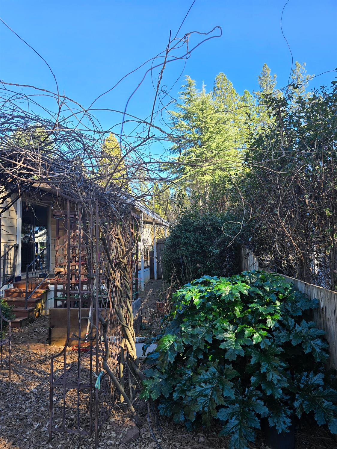 30 Candy Lane Grass Valley, CA 95945 - Photo 32 of 48 a view of a chairs and table in a patio