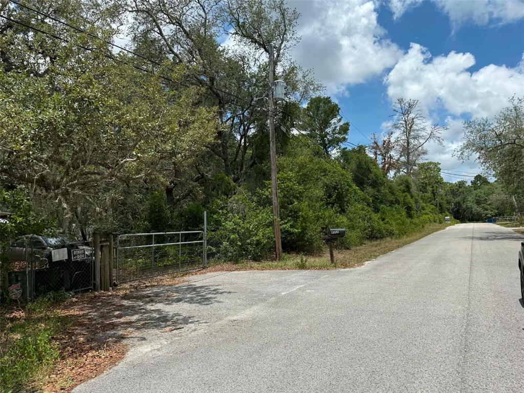10051 Waddell Street New Port Richey, FL 34654 - Photo 4 of 8