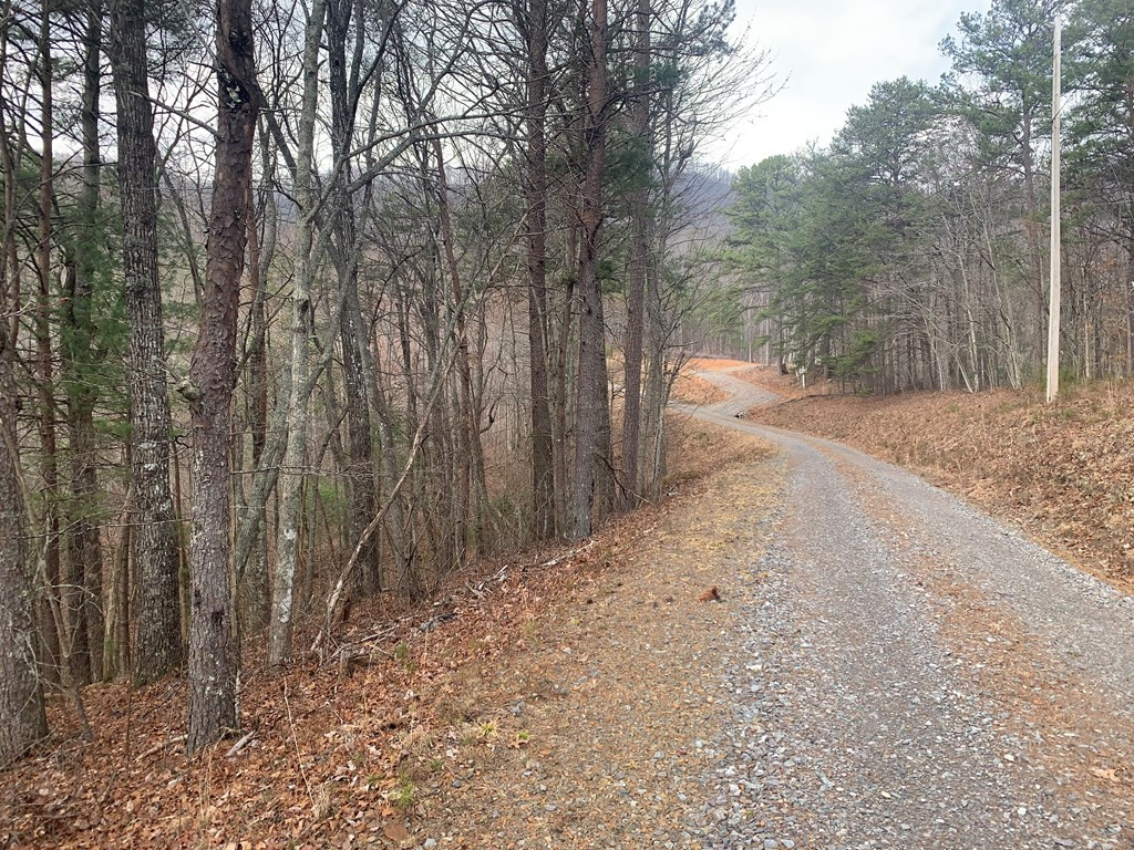 Lot 20 Wolf Ridge Lane Murphy, NC 28906 - Photo 16 of 27