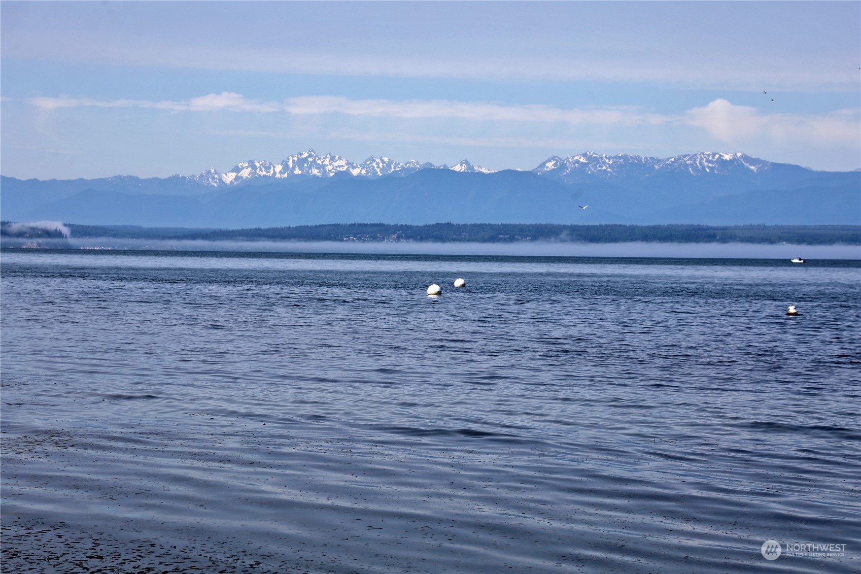 6288 Barr Beach Road Freeland, WA 98249 - Photo 8 of 40